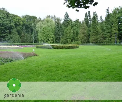 Gardenia - zagospodarowania terenów zieleni Gniezno. Budowa parków i terenów rekreacyjnych.